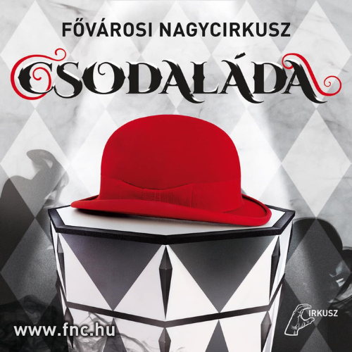 CSODALÁDA - ismertető, időpontok